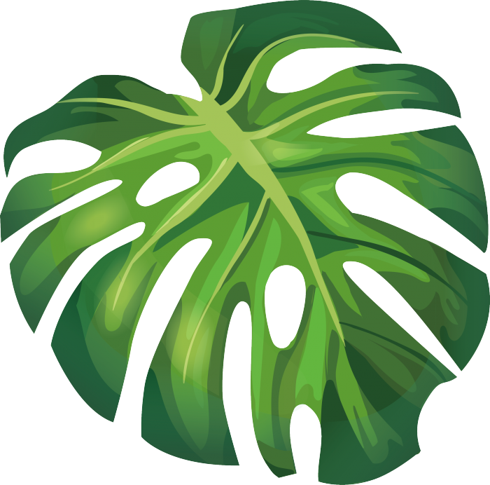 botanical-vector-banana-leaf-5