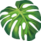 botanical-vector-banana-leaf-5